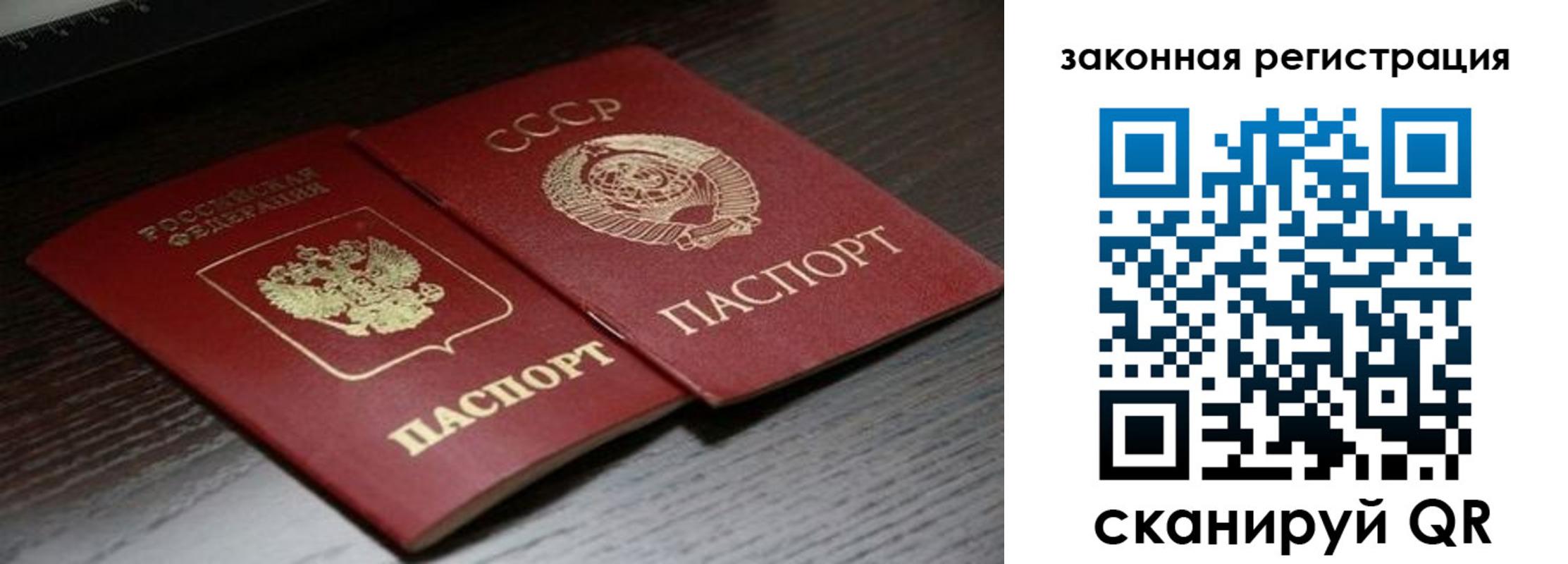 прописка поиск в Приозерске
